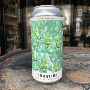 Duration Turtles All The Way Down 5.5% 440ml