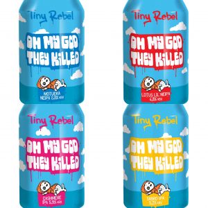 Tiny Rebel 9th Birthday 'IPA' 4-pack